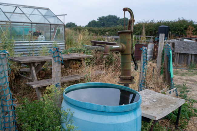 eton-wick-windsor-berkshire-uk-16th-august-2022-gardeners-at-the-allotments-in-eton-preparing-for-the-hose-pipe-ban-with-plenty-of-water-butts-to-hand-as-a-drought-has-been-declared-for-the-sou