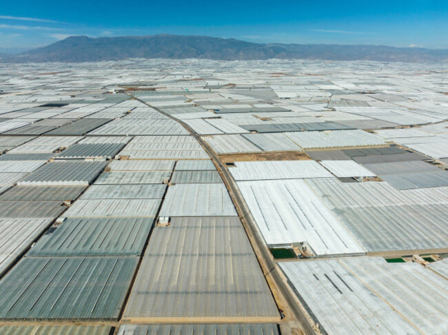 masses-of-shimmering-plastic-greenhouses-near-el-ejido-aerial-view-drone-shot-almeria-province-andalusia-spain