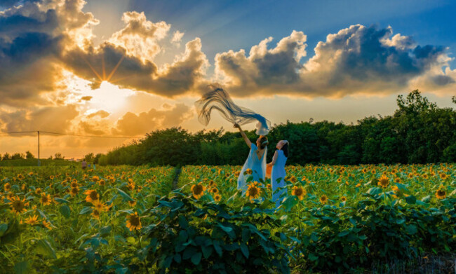 visitors-enjoy-the-sunflower-fields-at-xixi-scenic-spot-in-dongtai-east-chinas-jiangsu-province-sept-6-2026-thousands-of-sunflowers-are-in-full-bloom-attracting-tourists-for-weekend-leisure-p