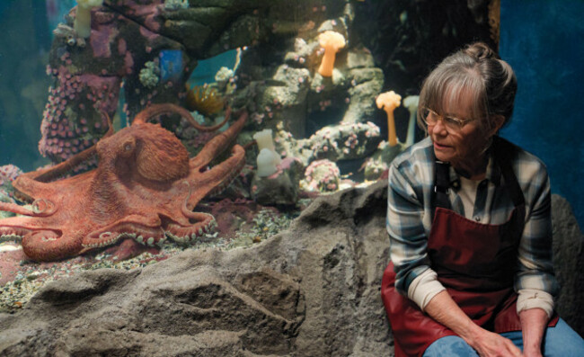 usa-sally-field-in-cnetflix-new-film-remarkably-bright-creatures-2026-plot-through-unlikely-bonds-formed-during-night-shifts-at-a-local-aquarium-tova-an-elderly-widow-learns-of-a-life-chan