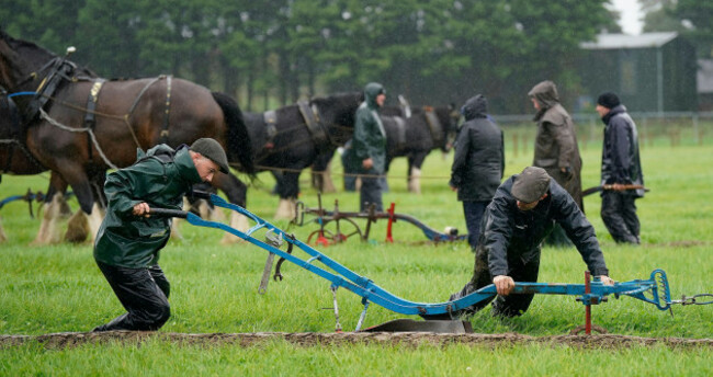 a-general-view-of-competitors-in-the-horse-section-of-the-during-the-national-ploughing-championships-at-ratheniska-co-laois-picture-date-tuesday-september-19-2023