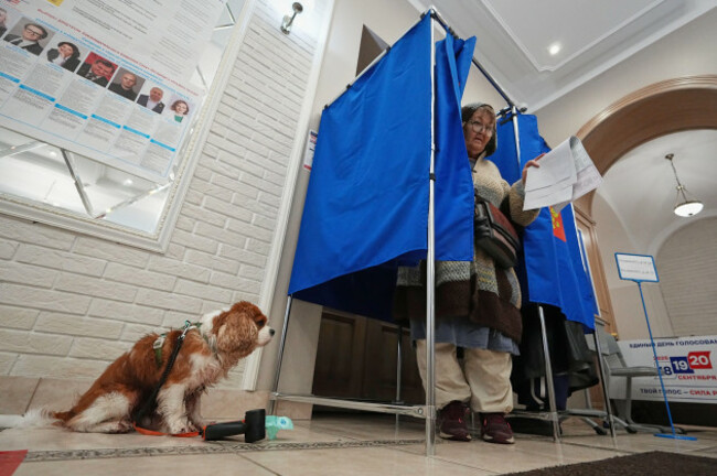 a-dog-waits-its-owner-who-leaves-a-voting-booth-during-the-parliamentary-election-in-st-petersburg-russia-sunday-sept-20-2026-ap-photodmitri-lovetsky