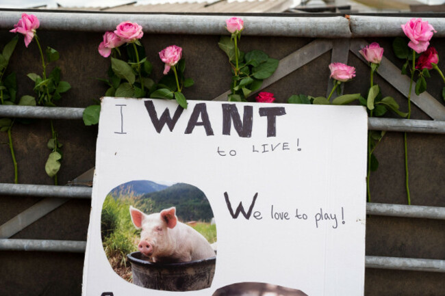 bickmarsh-alcester-warwickshire-uk-1st-april-2023-animal-justice-project-organised-protest-at-bickmarsh-hall-farm-an-undercover-investigation-by-the-animal-justice-project-photographed-and-repo