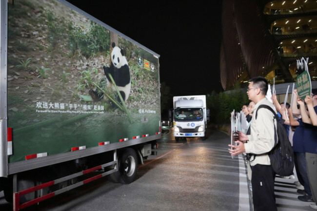 china-us-pandas