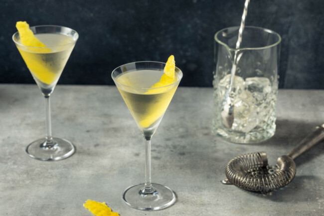 boozy-cold-lemon-gin-martini-with-vermouth-and-bitters