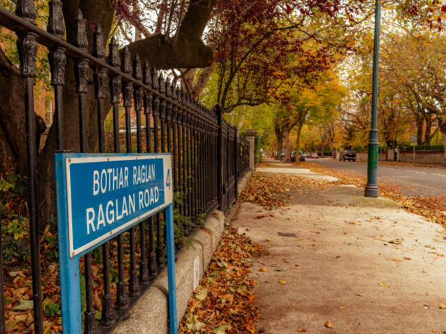 the-last-of-the-autumn-colours-on-raglan-road