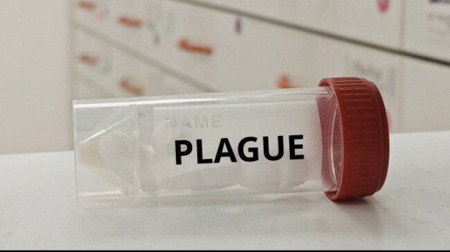 plague-treatment-tablets-used-to-treat-yersinia-pestis-infection-in-a-plastic-transparent-box