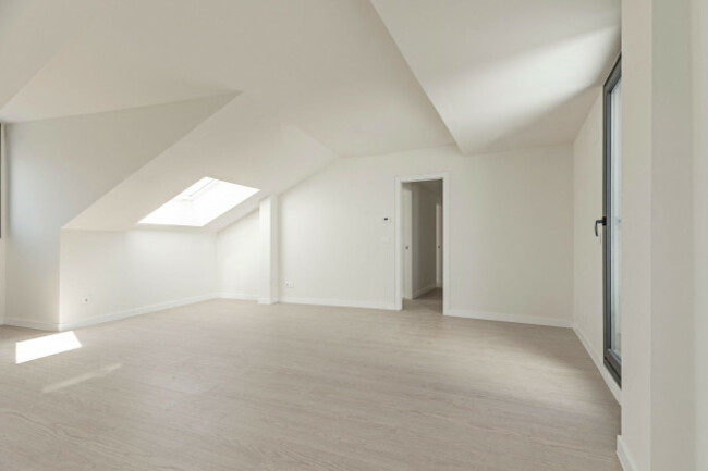 empty-attic-room-with-skylight-sloped-ceiling-hallway-doorway-and-glass-balcony-door-with-light-wood-floor