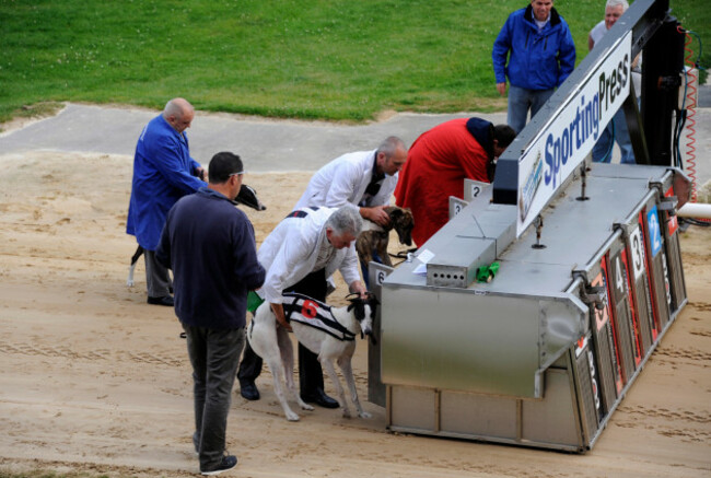 departure-of-greyhound-racing-shelbourne-park-greyhound-stadium-dublin-ireland