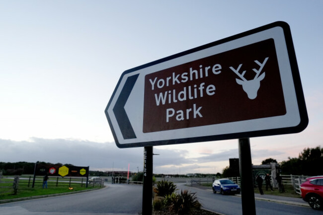 yorkshire-wildlife-park-tiger-incident