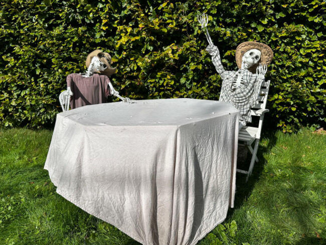 Halloween party-1_90757091