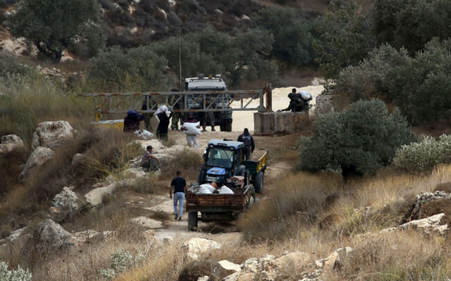 nablus-palestine-state-of-17th-oct-2026-salem-palestine-october-17-2026-israeli-soldiers-check-palestinian-farmers-identification-documents-after-forcing-them-to-leave-their-fields-before-co