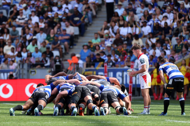 matthew-devine-waits-to-feed-the-ball-into-a-scrum