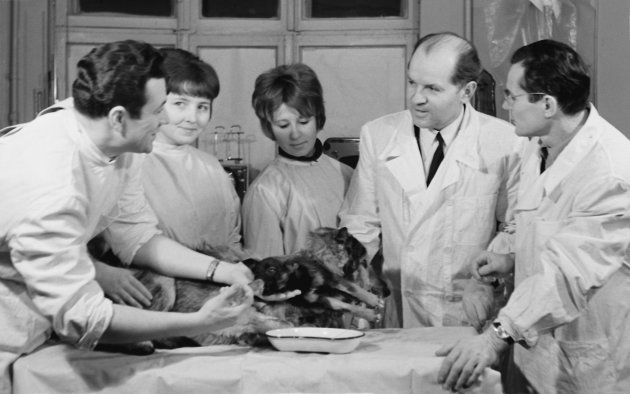 Vladimir Demikhov, el cirujano pionero en trasplantes, pero más conocido por su perro de dos cabezas 
