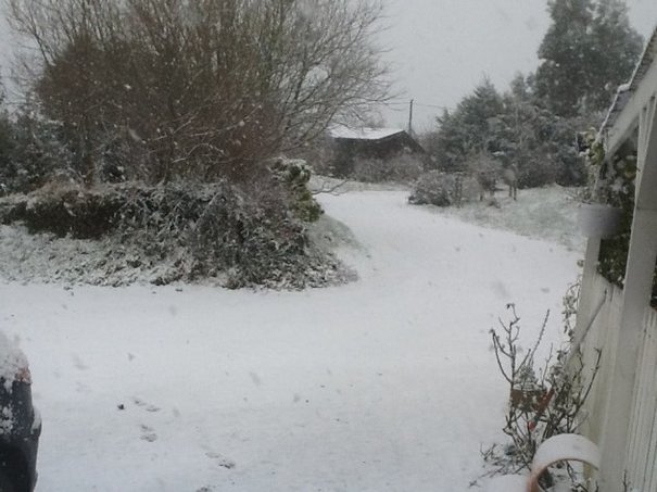 Your pics: Snow falls around Ireland · TheJournal.ie