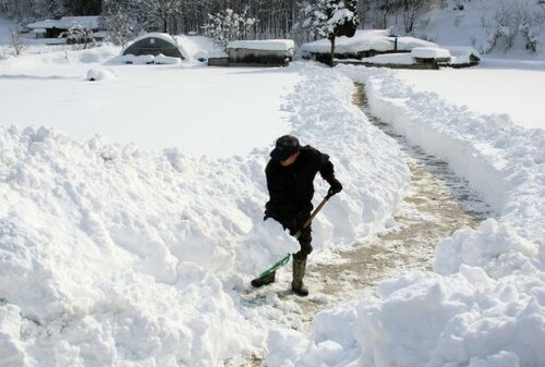 Gallery: record snowfall in South Korea · TheJournal.ie