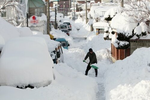 Gallery: record snowfall in South Korea · TheJournal.ie