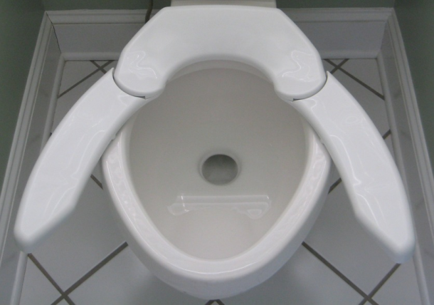 9 Things You May Find In A Strange Toilet · The Daily Edge