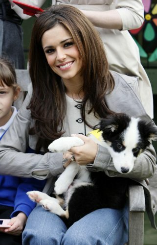 can you hold a puppy like a baby