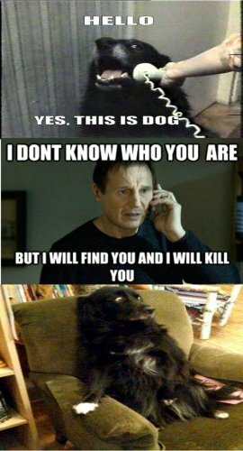 So who was Liam Neeson really talking to in 'Taken'? · The ...