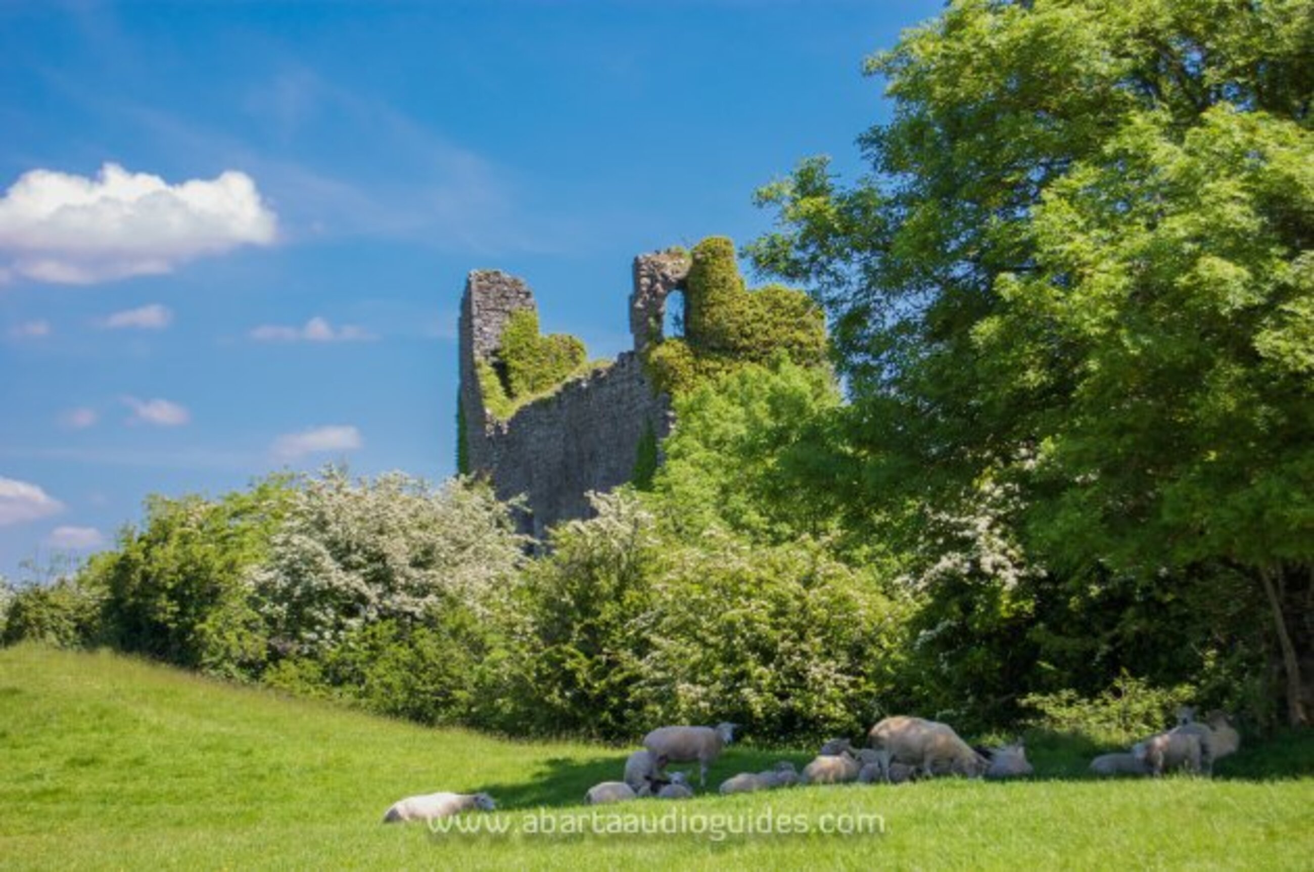 Settlement deserted — medieval in Shankill