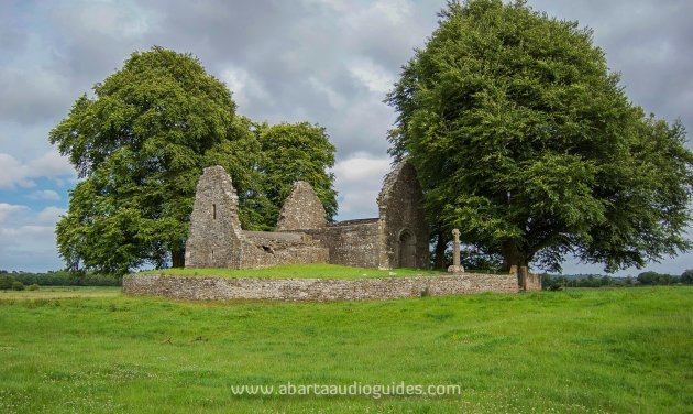 Waterford Industrial Archaeology Report - Waterford Council